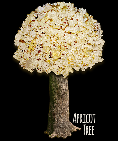 Apricot Tree Popcorn Popping Shirt
