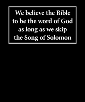Song of Solomon Funny LDS Shirt